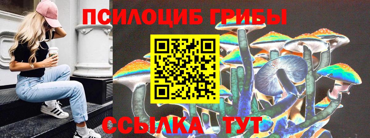 Меф МЯУ МЯУ кристаллы  ГАШ  Гатчина  Alpha PVP СК кристаллы  Вход с VPN  Канабис  COCAIN  Продажа наркотиков 